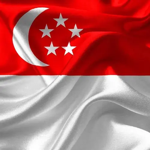 Programu ya Picha ya Visa ya Singapore: Piga Picha Inayoendana na Simu yako