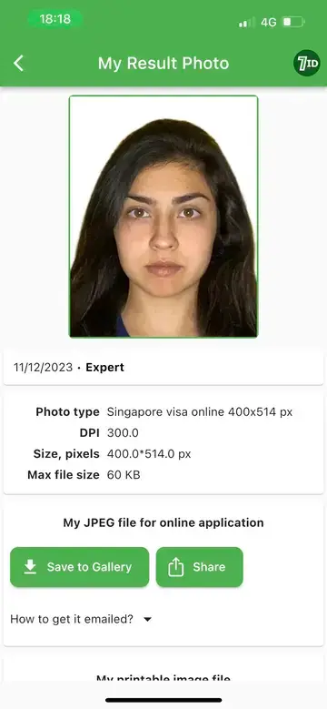 Sampuli ya Picha ya Visa ya Singapore