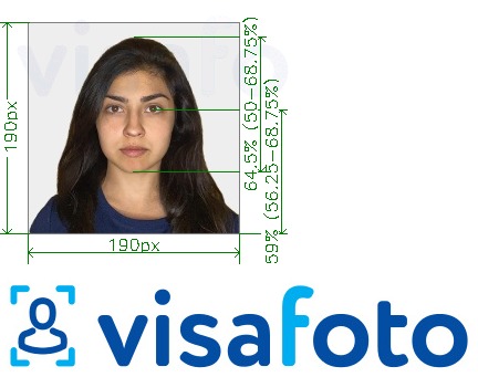 නිශ්චිත ප්රමාණයේ පිරිවිතර සමග ඉන්දියාවේ Visa 190x190 px VFSglobal.com හරහා සඳහා ඡායාරූපයේ උදාහරණය